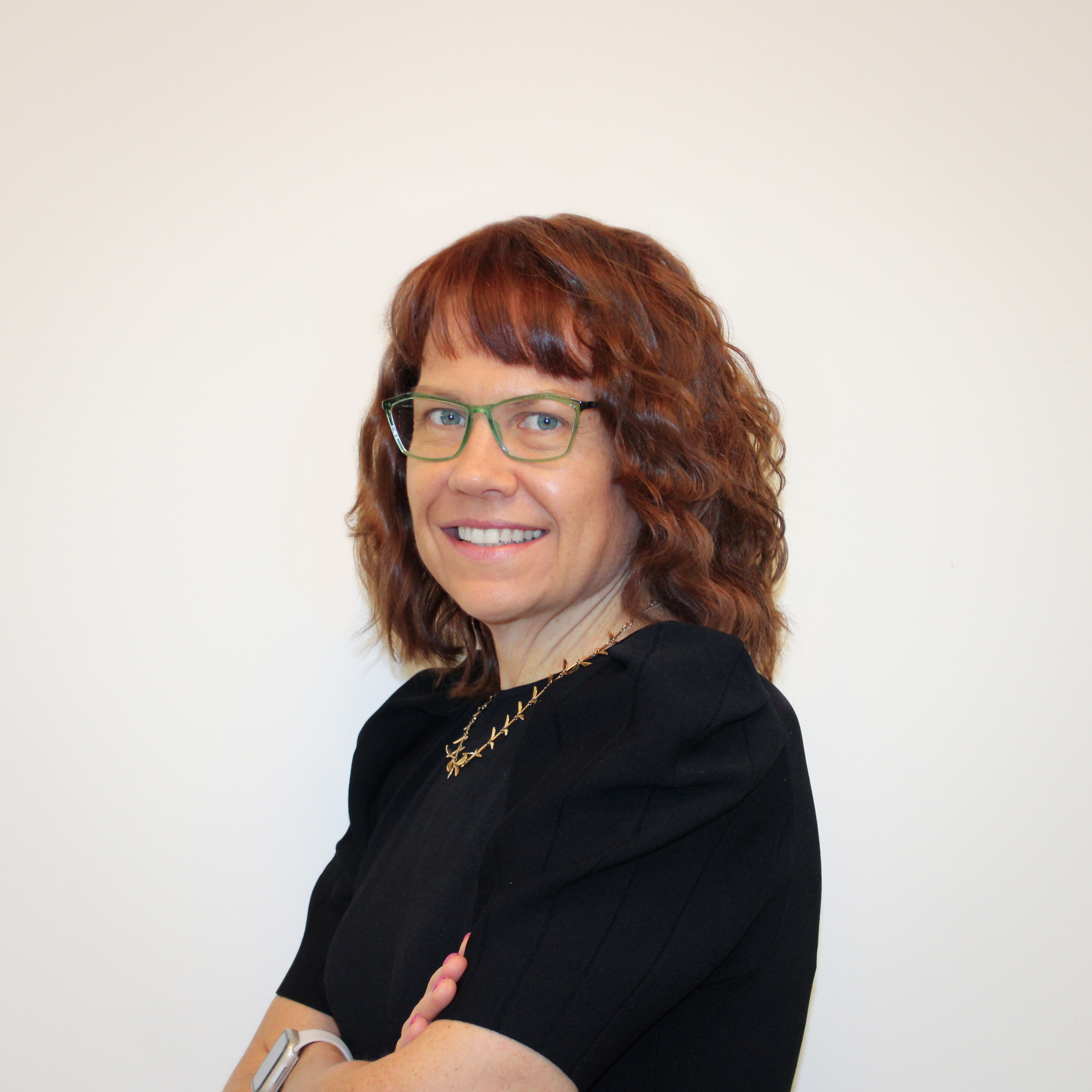 Alternative text for the image