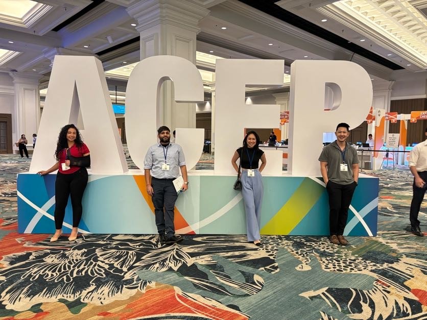 Alternative text for the image