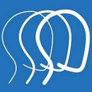 Brain Injury Association of America logo