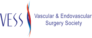 Vascular & Endovascular Surgery Society logo